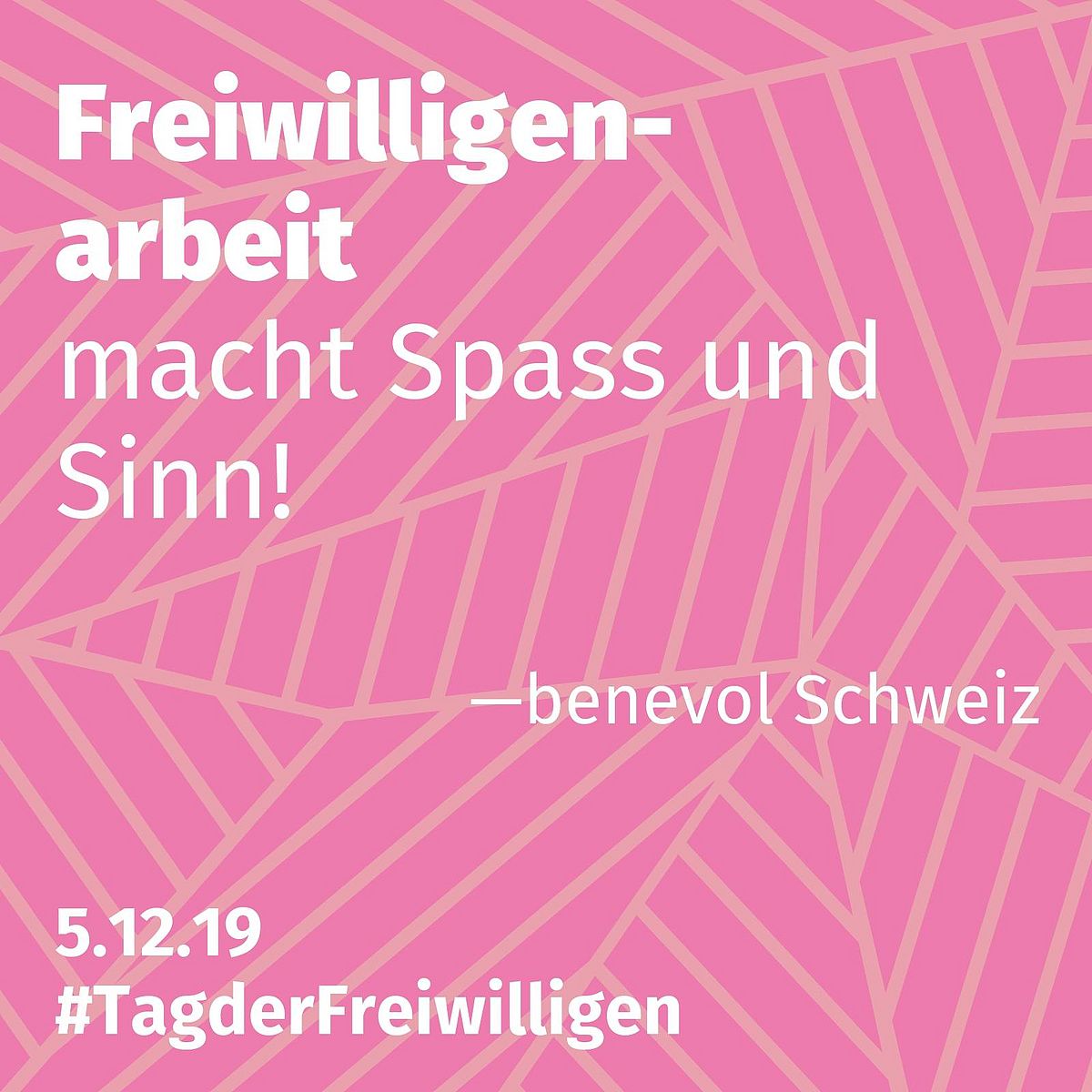 Tag der Freiwilligen 5 Dezember