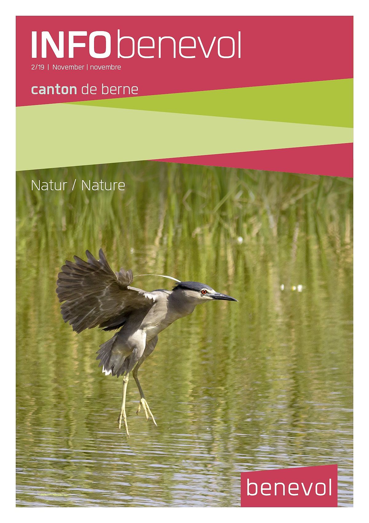 Titelblatt des INFObenevol 2 / 19 Dezember, Thema Natur / Nature, Vogel im Landeflug am Bielersee.